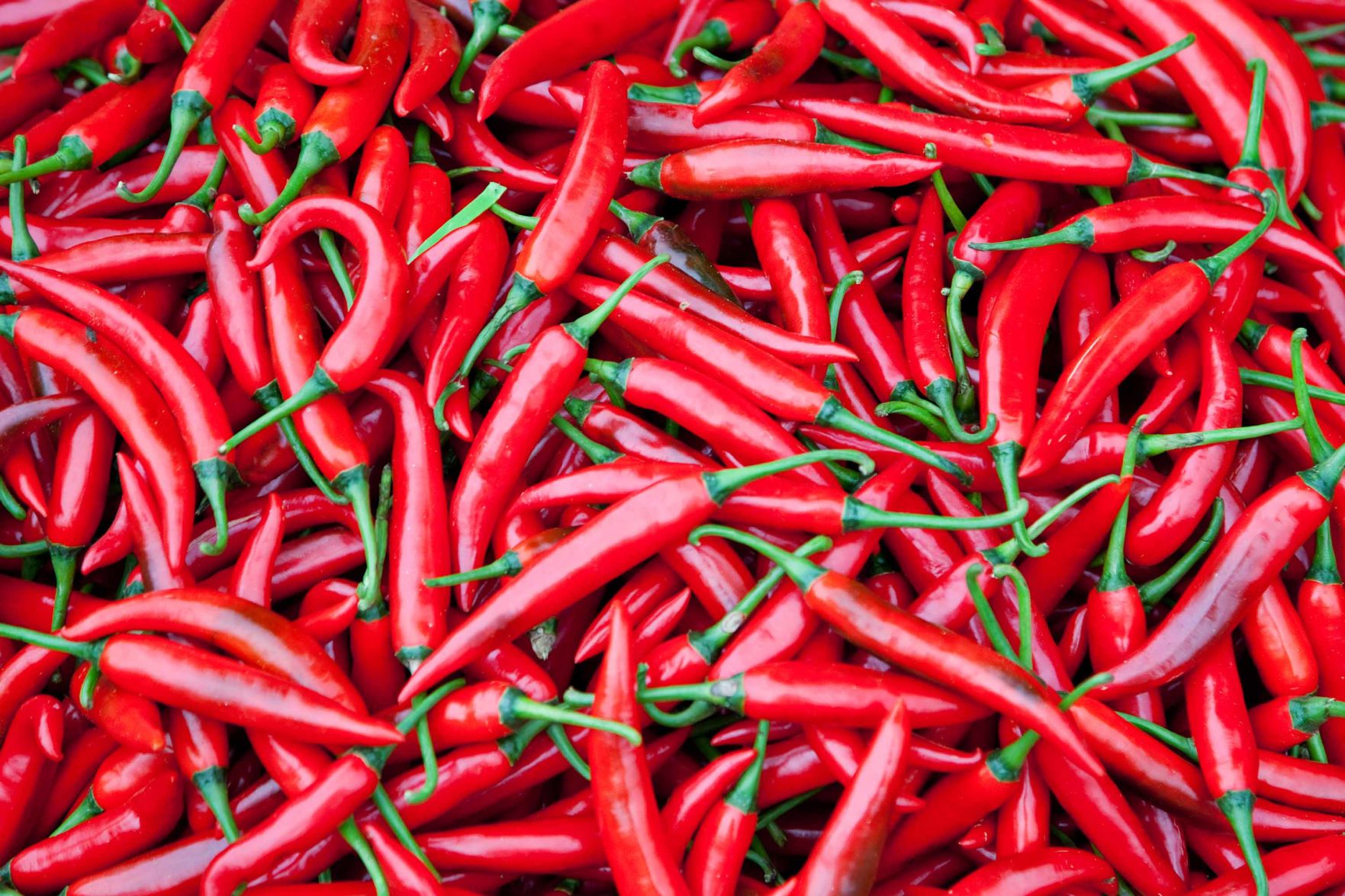 Chili peppers